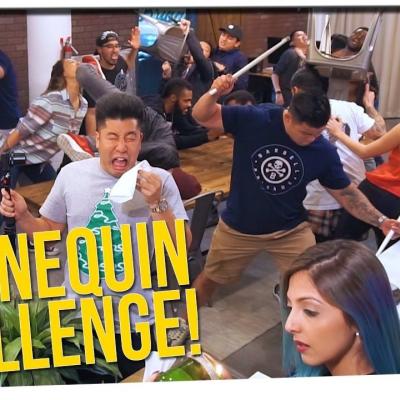 Mannequin Challenge